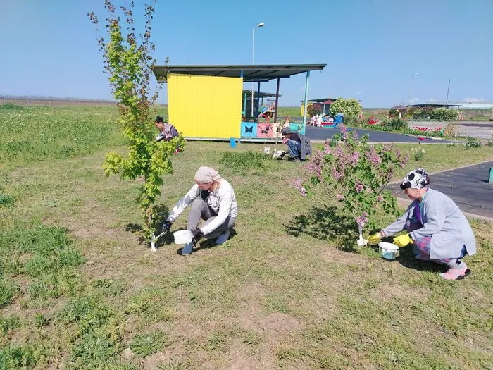 photo_2025-04-25_14-13-32 (4)