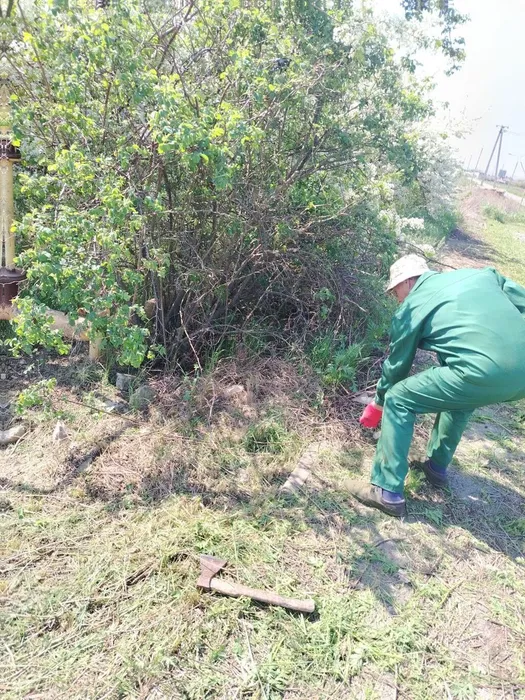 photo_2025-04-25_14-13-34 (2)