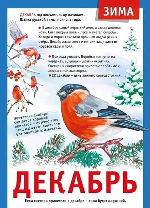 i - 2023-12-11T122019.859