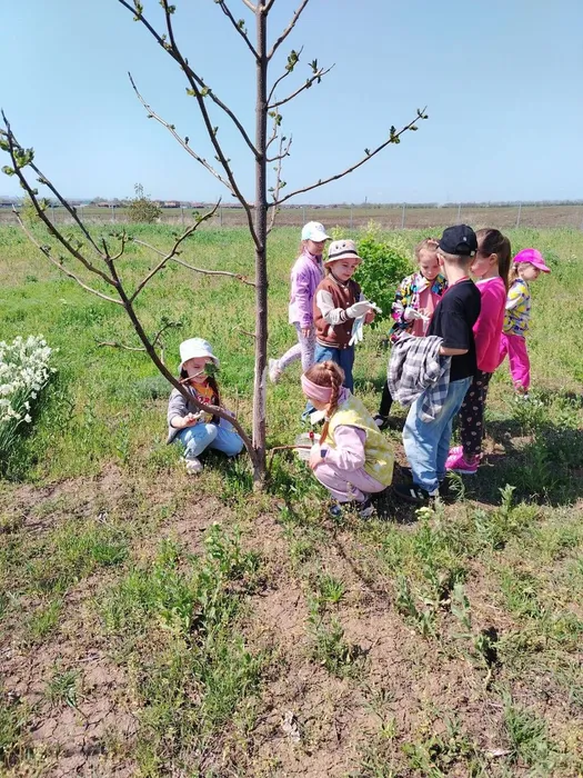 photo_2025-04-25_14-13-32