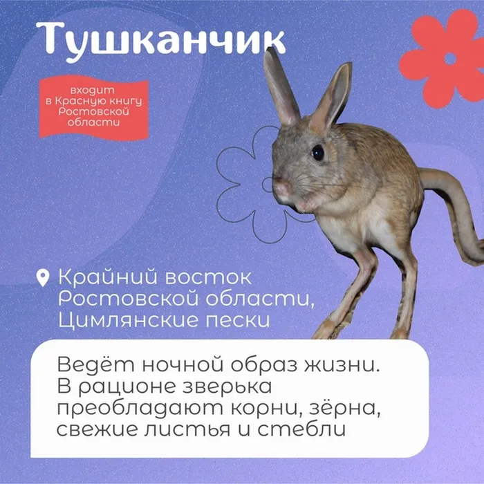 AAOR_P3W5iZ8GCnnQ7UB35iBYqKAWG8pMNPaC6sTdF8vS-zDbqV91WOAz15lEU9RvkS1lYXP0NP7mjbQrbAE192N