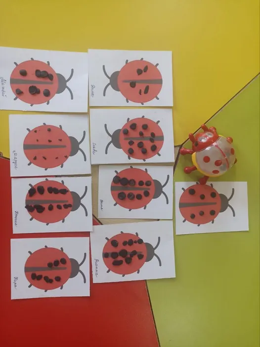 photo_2025-06-10_13-21-10 (2)