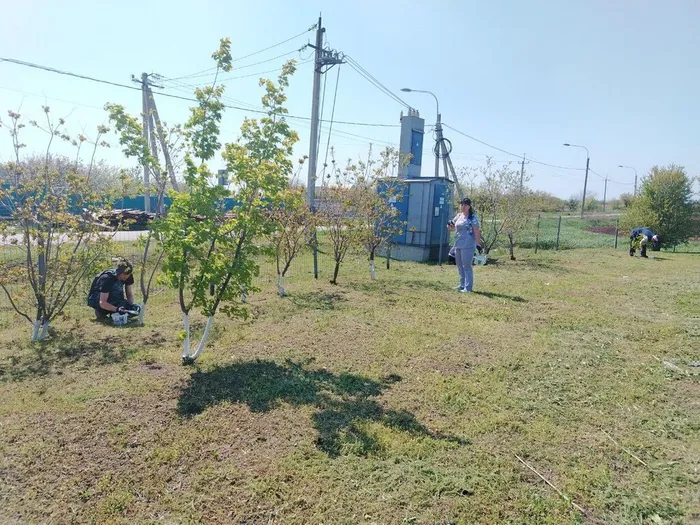 photo_2025-04-25_14-13-33 (6)