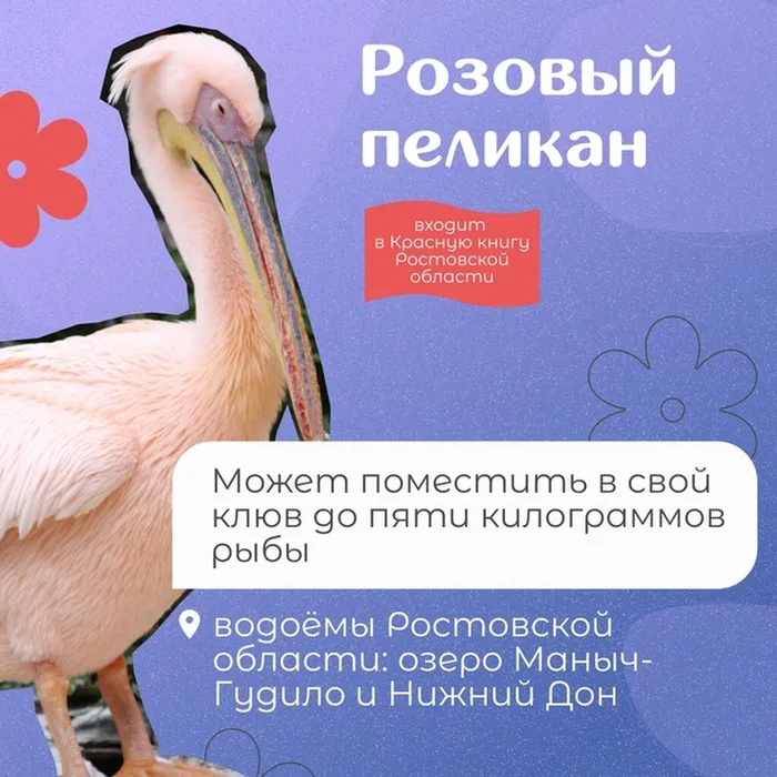 ZlW2Mbt1Yde9eAXKvpgNzoC-n0qDZhWPz2GQQppyA81HtAigMB44gMHwkjio-0Ti5hK2oCcBQL8fY_epBqksLzQT