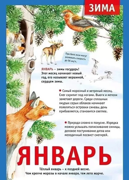 i - 2023-12-11T122025.299