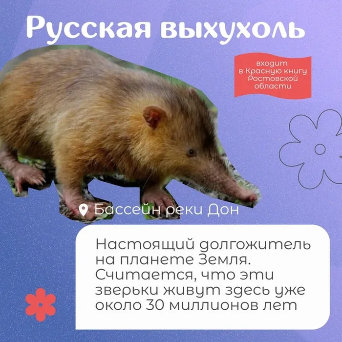 lzMWunx6ClttNUbuNeQI7s7H7j7RUR0Wcm9X6D5yUNkCOao_hbeHU7r5tTvUZFRsz_yLjJwDoYhfCifFOk_FzBUB