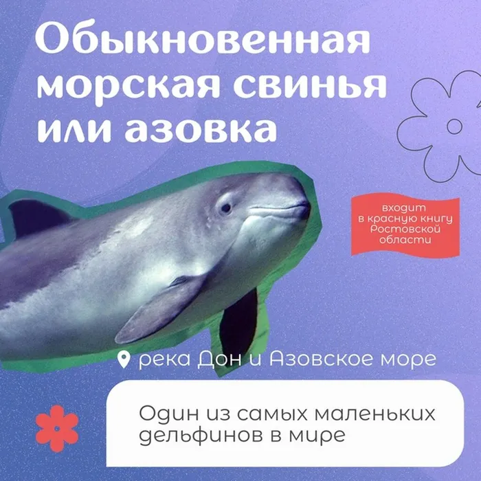 CsYb30zHB3D6r8-kTDRvnIqRPbcOcCBQaozDupJf9hOOVjA_9LMQw3wDW-LsHIbszs-gFh7NUlZ14g4hV2eGNT1Z