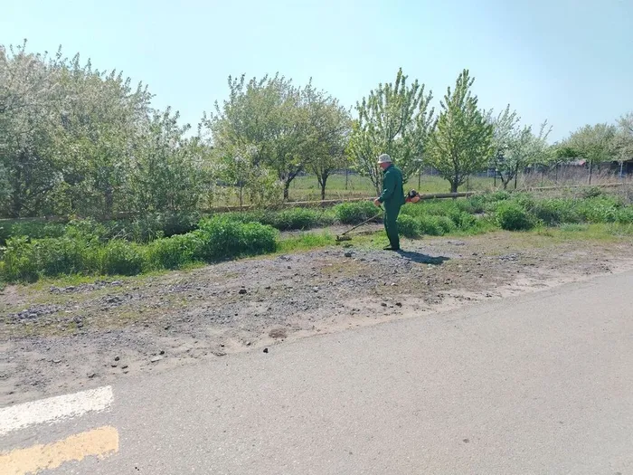 photo_2025-04-25_14-13-35