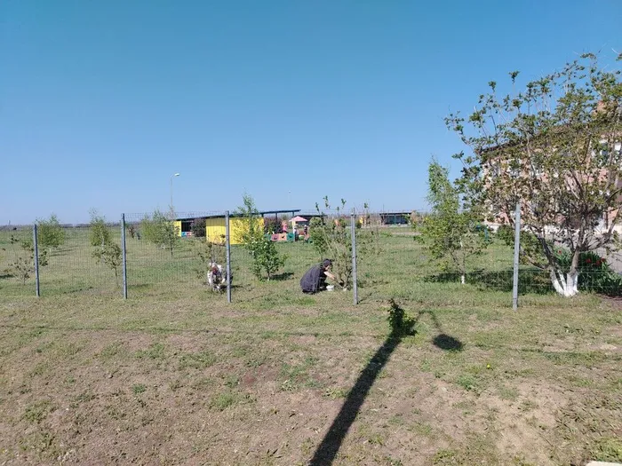 photo_2025-04-25_14-13-35 (3)