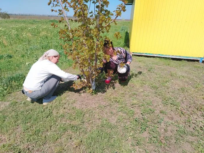 photo_2025-04-25_14-13-32 (3)