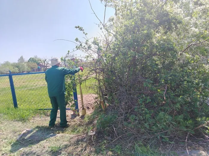 photo_2025-04-25_14-13-34