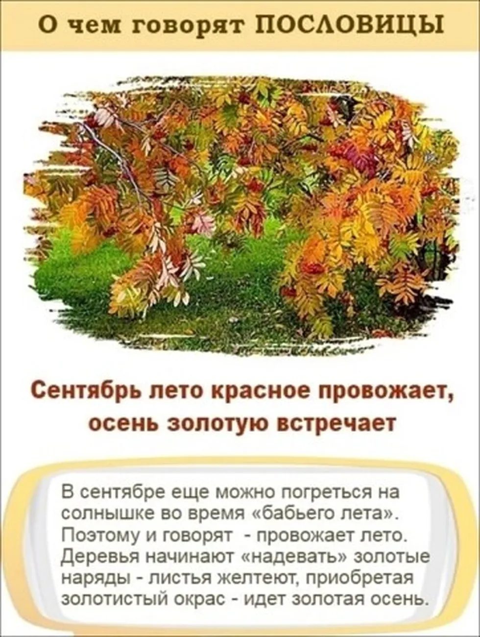 i - 2023-10-04T201316.984