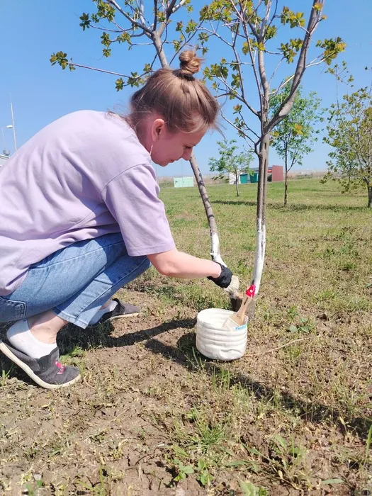 photo_2025-04-25_14-13-33 (7)