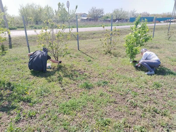 photo_2025-04-25_14-13-35 (4)