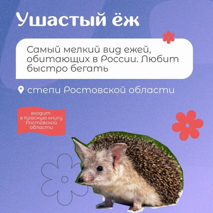 dtmhUKOSqB5Pqge1iiJmB5rryw1lUjKRRyB5sSgnAQE6ctT6CEUED8HwYxvdWFa15_Qb_0z9AgZeZXkPJJzrcvAb