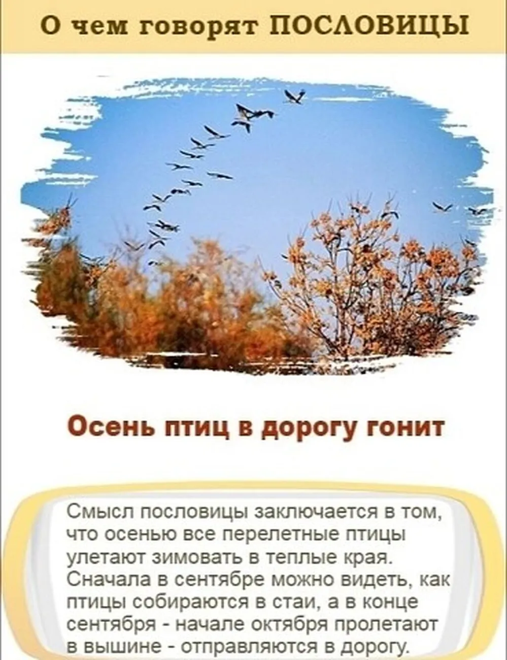 i - 2023-10-04T201333.156 (1)