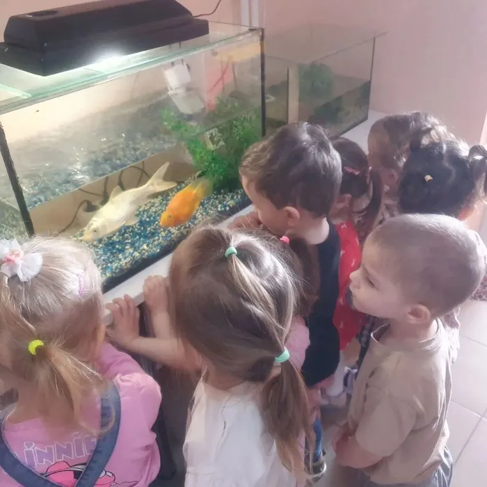 photo_2026-04-03_10-09-31 (2)