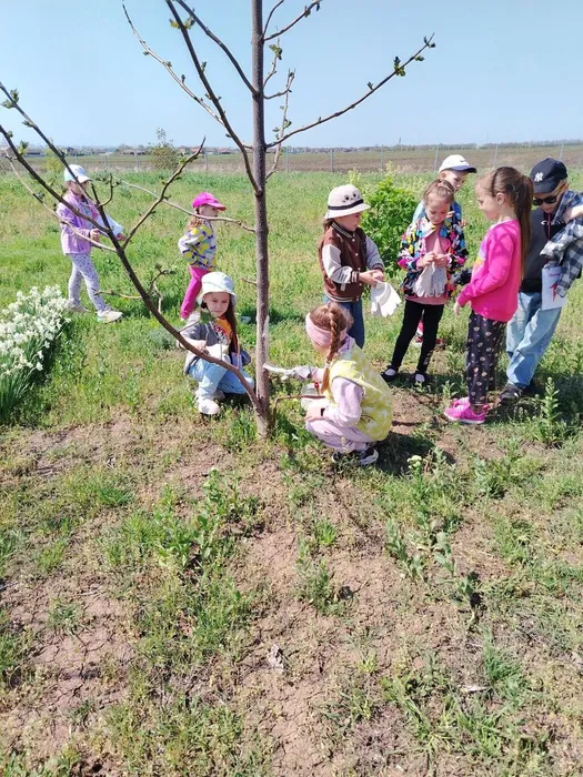 photo_2025-04-25_14-13-32 (2)